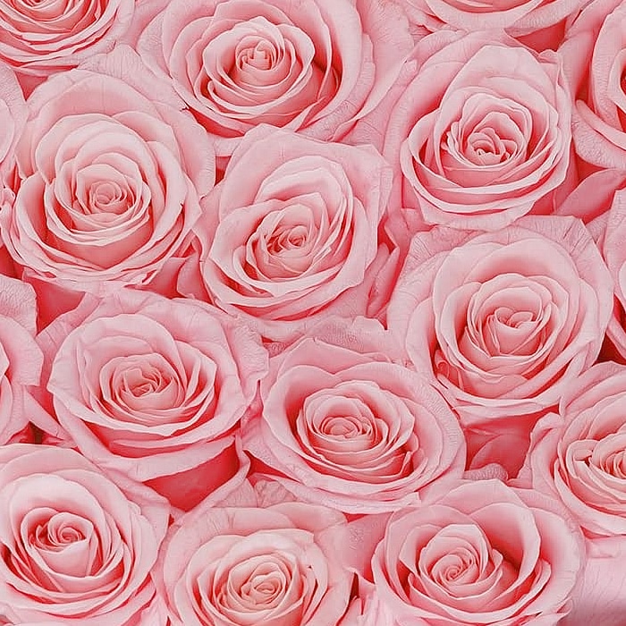 Flower delivery in RomeFlower Box tonda nera con Rose rosa